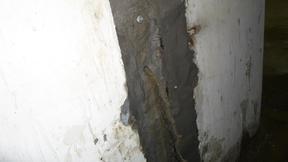 專業(yè)守護(hù)，滴水不漏——探訪江蘇蘇州明利防水堵漏工程